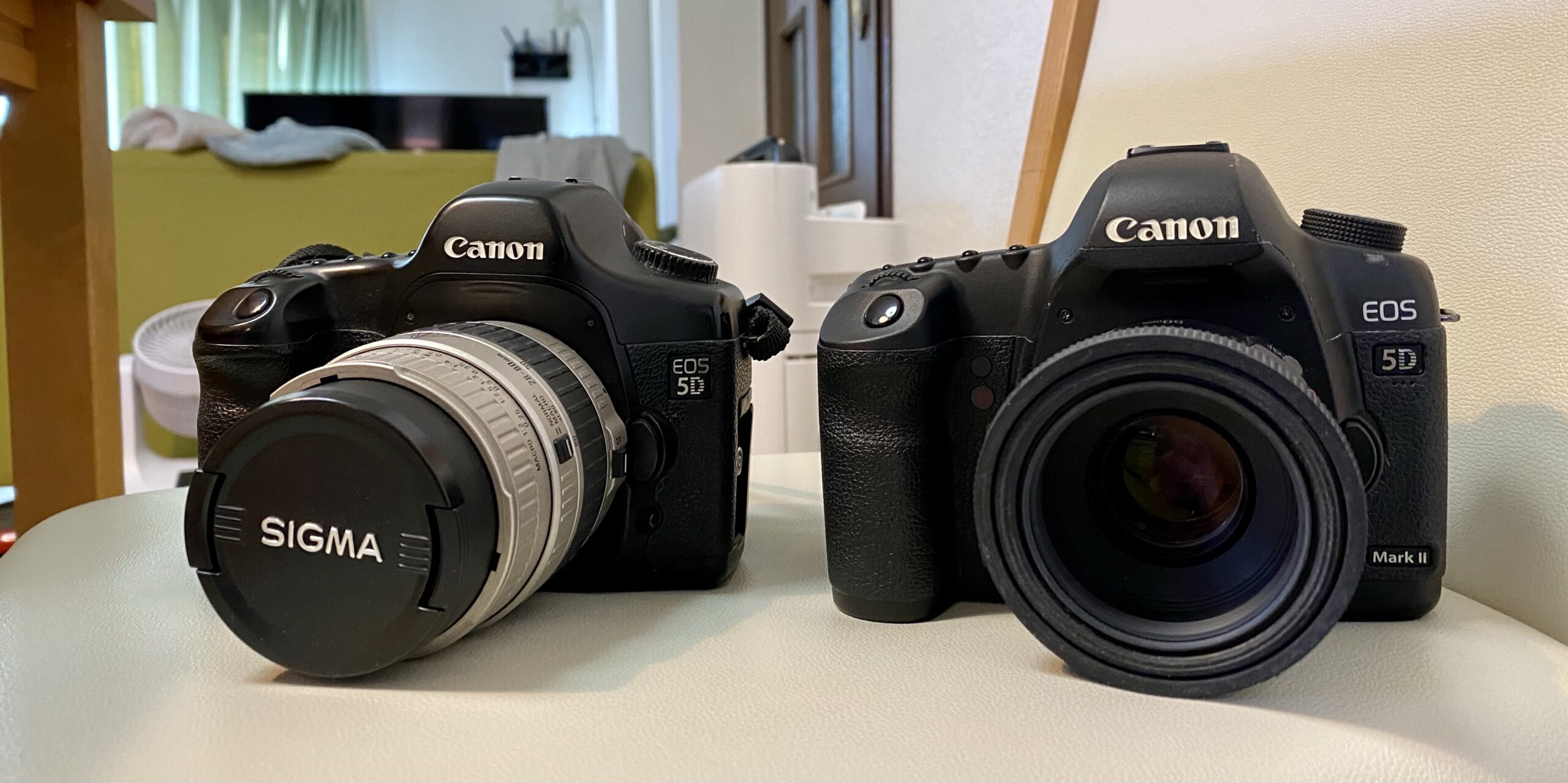 Canon EOS 5D MarkIIを購入しました。 | D'sDinner@Blog